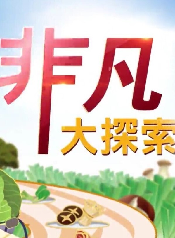 锤子探花再约极品眼镜御姐美腿高跟鞋很主动埋头舔骚逼抱起来猛操小穴 - 抖阴小视频